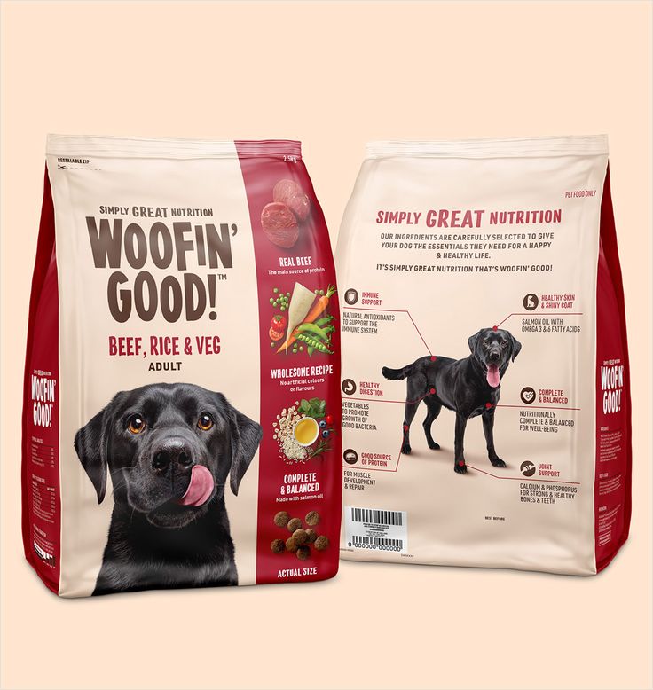 Best dog food brands in the USA 