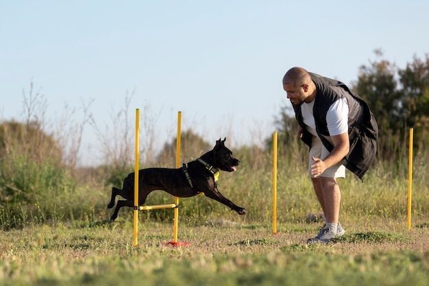 dog training classes near me