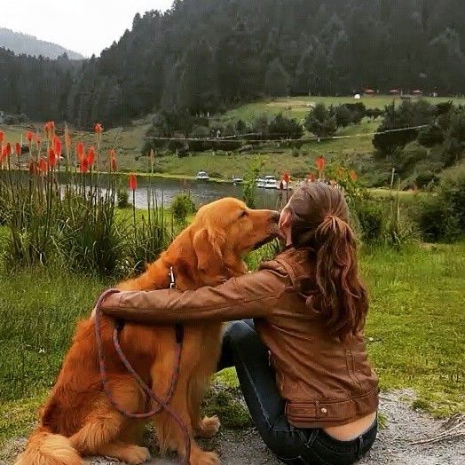 A playful puppy learning obedience from its owner.